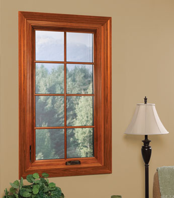 Replacement Vinyl Windows