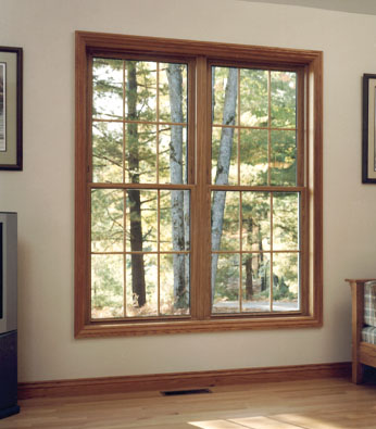 Replacement Vinyl Windows