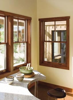 Replacement Vinyl Windows